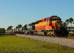 FEC 703